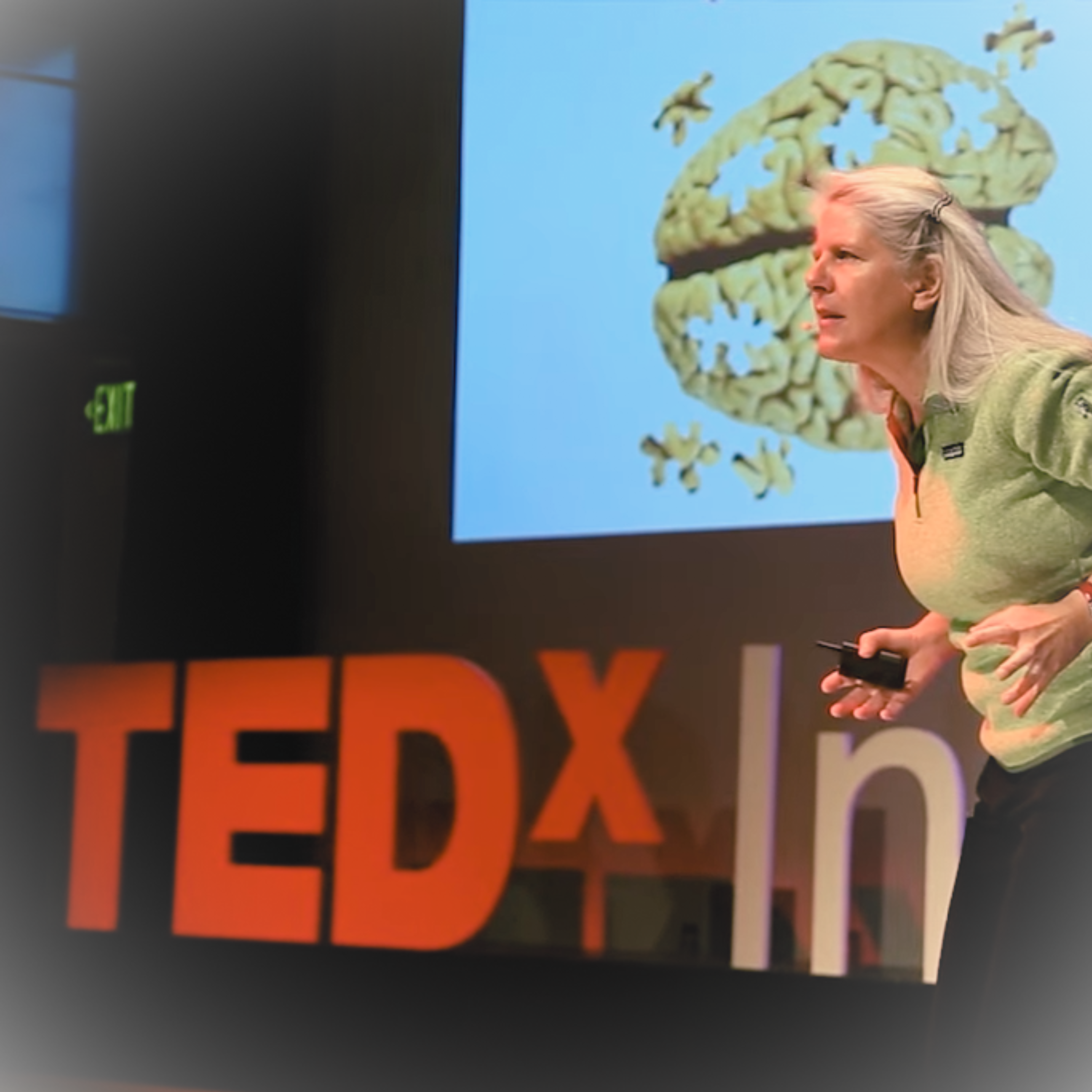 TEDxYouth Video | Transformation of the Teenage Brain